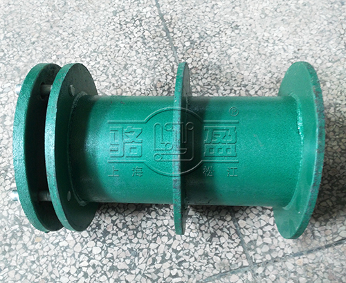 重慶市秀山縣防水套管